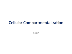 Cellular Compartmentalization (PowerPoint) Gulf Coast 2012
