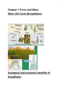 integrated biology Chapters 5-7 Ferns and Moss