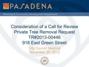 Consideration of a Call for Review: Expressive Use Permit #6052