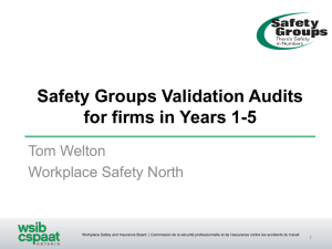 Safety Group Verification Audits