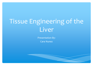 Tissue Engineering of the Liver