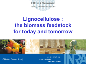the biomass feedstock for today and tomorrow