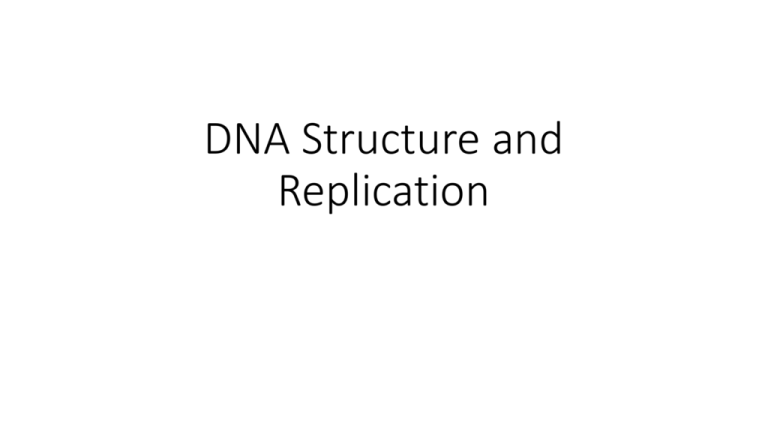 dna-structure-and-replication