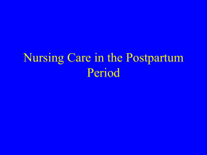 Nursing Care in the Postpartum Period