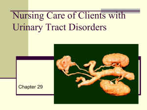 Nursing Care of Clients with Urinary Tract Disorders