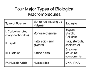 Lecture 5: Organic Molecules II