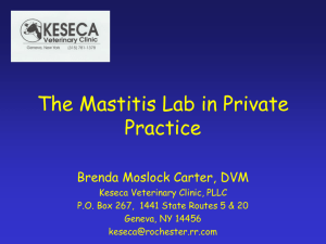 The Mastitis Lab in Private Practice