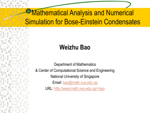 Numerical Simulations for Bose