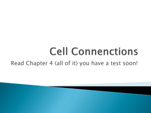 Cell Connections Notes
