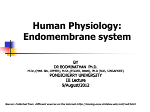 Human-physiology-II-lecture-Endomembrane