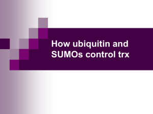 How ubiquitin and SUMOs control trx