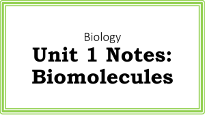 Biology Unit 1 Notes: Biomolecules