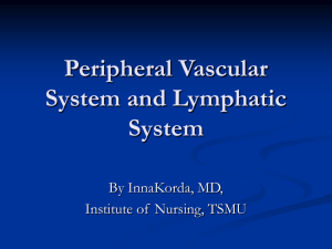13- Neck & Peripheral Vessels, Lymphatic System