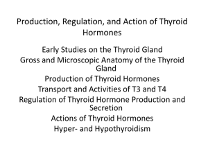 Production, Regulation, and Action of Thyroid Hormones