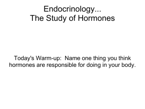 Endocrinology... The Study of Hormones