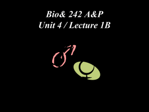 Bio 242 unit 4 Lecture 1B PP