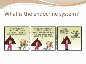 Endocrine System - Waukee Community School District Blogs