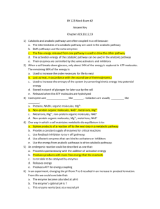 BY 123 Mock Exam #2 Answer Key Chapters 8,9,10,12,13 Catabolic