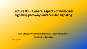 Lecture 03 – General aspects of molecular signaling