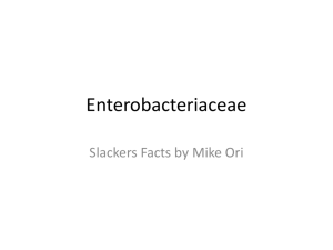 Slackers Enterobacteriacaea Fact Stack