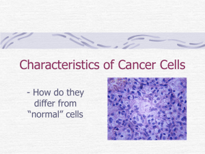 Characteristics of Cancer Cells