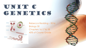 Unit C Genetics - Ms. Redding's Science Page!