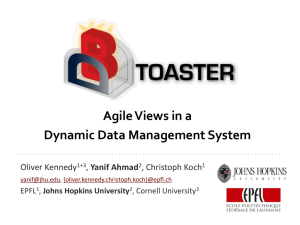 Agile Views for a Dynamic Data Management System