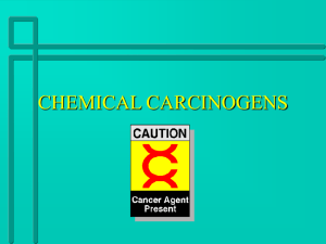 CHEMICAL CARCINOGENS