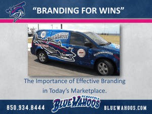 Branding the Blue Wahoos