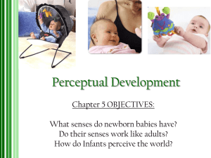 Perceptual Development