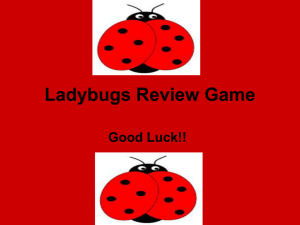 Ladybugs Review Game - Kids