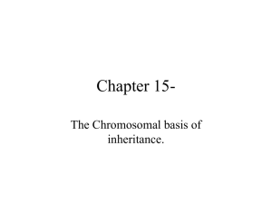 lecture 5, ch 15, chromosomes