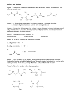 AminesAmides worksheet2014 - SCH4U-SCHS