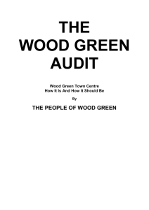 The Wood Green Audit 2006