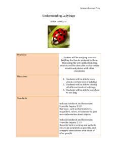 Understanding Ladybugs