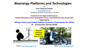 Presentation: Bioenergy Platforms and Technologies