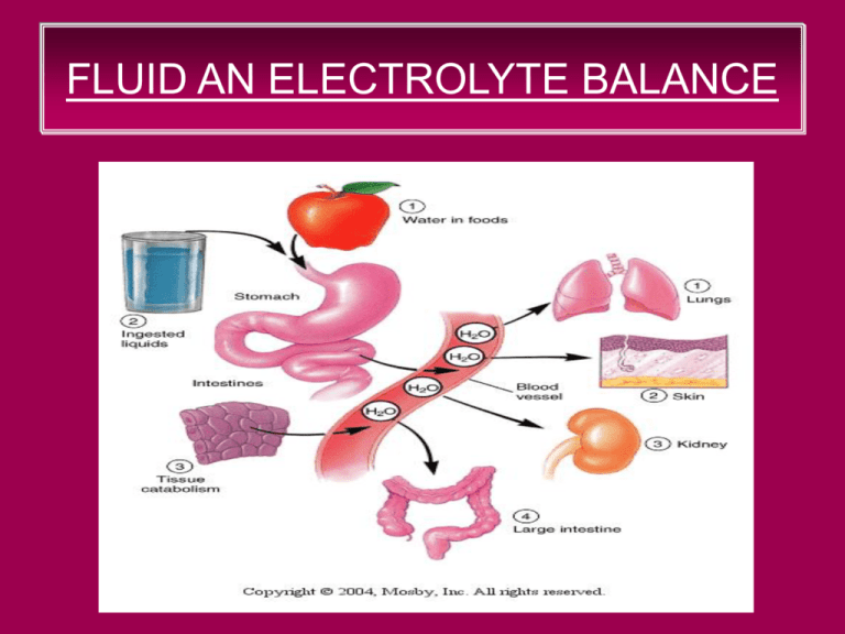 assignment on fluid and electrolyte imbalance