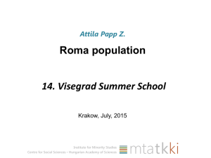Roma population - Visegrad Summer School