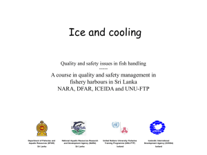 Iceing and Cooling - FTP-UNU - United Nations University Fisheries