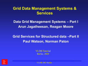 Grid Data Management Systems & Services