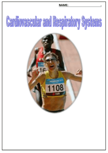 Year 9 & 10 Respiratory system workbook - Year 9-10