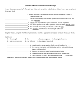 Worksheet The Integumentary System Answer Key