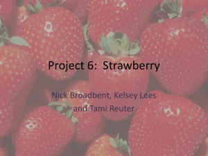 Project 6: Strawberry