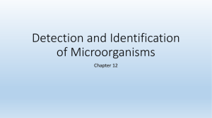 Detection and Identification of Microorganisms