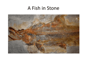 A Fish in Stone (powerpoint)