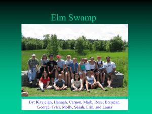 PowerPoint Presentation - Elm Swamp Historic/Geologic