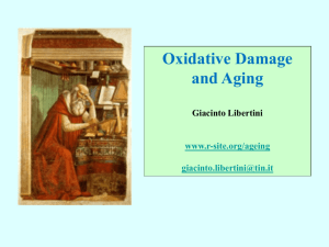 Oxidative damage and aging, oral presentation in ppt format, 796k