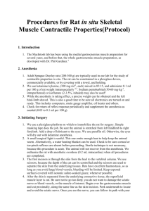 Procedures for Rat in situ Skeletal Muscle Contractile Properties