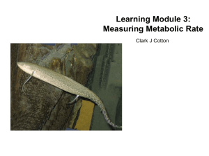 Learning Module 3: Measuring Metabolic Rate