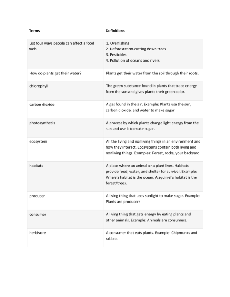 Life Science Terms That Start With Y